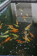 Thawan Apartment