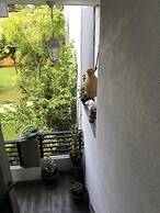Molesworth Homestay