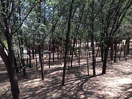 Phokoje Bush Lodge