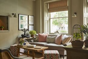 Room Mate Lime Tree