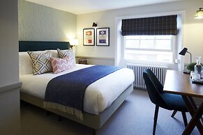 Room Mate Lime Tree