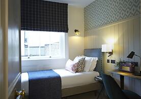 Room Mate Lime Tree