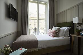 Room Mate Lime Tree