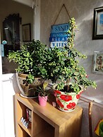 Cameron Court B&B