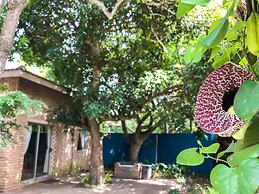 Ingwenya Lodge
