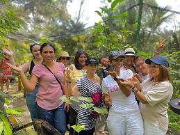 Summit Rainforest Golf Resort & All Inclusive