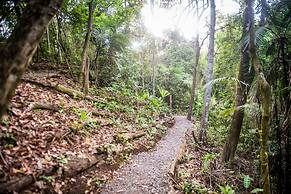 Summit Rainforest Golf Resort & All Inclusive