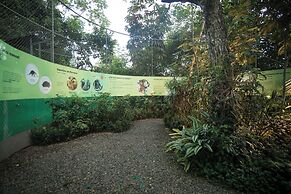 Summit Rainforest Golf Resort & All Inclusive