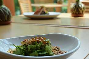 Summit Rainforest Golf Resort & All Inclusive