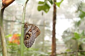 Summit Rainforest Golf Resort & All Inclusive