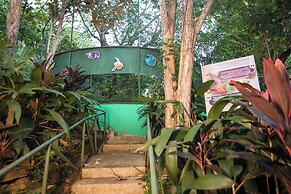 Summit Rainforest Golf Resort & All Inclusive