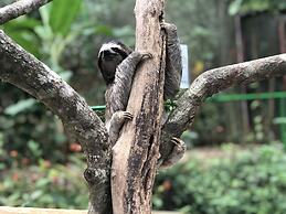 Summit Rainforest Golf Resort & All Inclusive