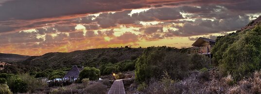 HillsNek Safari Camp - Amakhala Game Reserve
