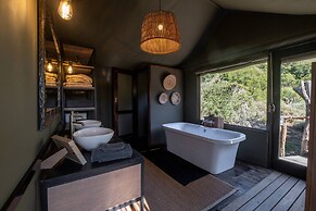 HillsNek Safari Camp - Amakhala Game Reserve
