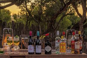 HillsNek Safari Camp - Amakhala Game Reserve