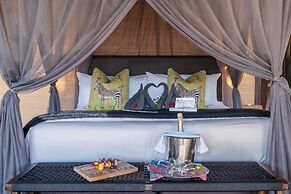 HillsNek Safari Camp - Amakhala Game Reserve