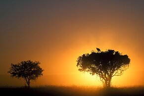 HillsNek Safari Camp - Amakhala Game Reserve