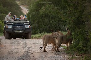 HillsNek Safari Camp - Amakhala Game Reserve