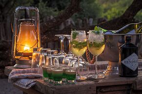 HillsNek Safari Camp - Amakhala Game Reserve
