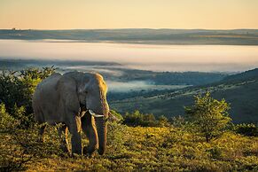 HillsNek Safari Camp - Amakhala Game Reserve