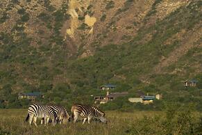 HillsNek Safari Camp - Amakhala Game Reserve