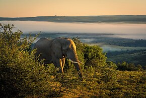 HillsNek Safari Camp - Amakhala Game Reserve
