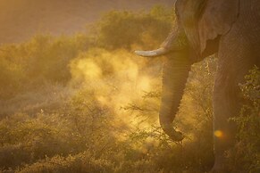 HillsNek Safari Camp - Amakhala Game Reserve