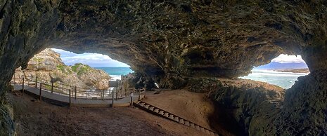 Sea Star Cliff