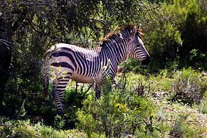 Buffelsdrift Game Lodge