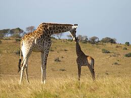 Inkwenkwezi Private Game Reserve