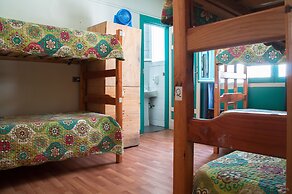 Hostal Forestal - Hostel