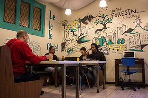 Hostal Forestal - Hostel