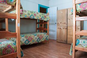 Hostal Forestal - Hostel