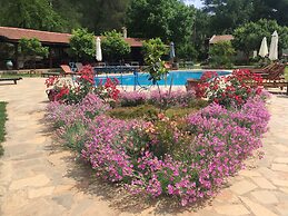 Dalya Life Hotel