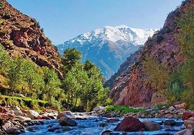 Riad Argan