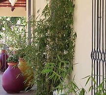 Bo Hotel de Encanto