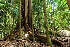 Chambers Wildlife Rainforest Lodges