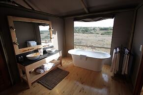 Hlosi Game Lodge - Amakhala Game Reserve
