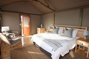 Hlosi Game Lodge - Amakhala Game Reserve