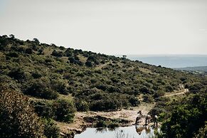 Bukela Game Lodge Amakhala Game Reserve