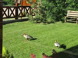 Alto Verde Hosteria