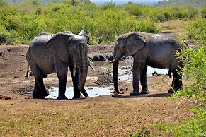 Motswiri Private Safari Lodge