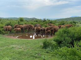 Motswiri Private Safari Lodge