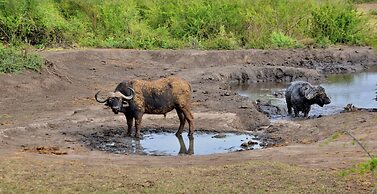 Motswiri Private Safari Lodge