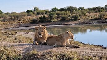 Motswiri Private Safari Lodge