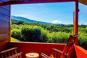 Hotel Mango Valley