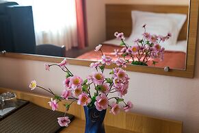 Hotel Gorodki