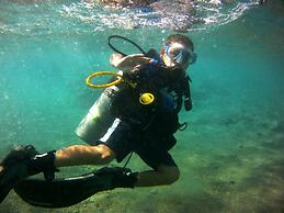 Arab Divers