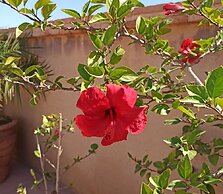 Riad Taroudant