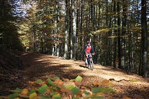 Gasthof zum Biber